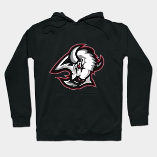Buffalo Sabres Hoodie